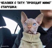 Похожа на Агнессу Ивановну из фильма Курьер
