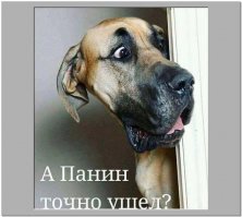 Прикольные и смешные картинки