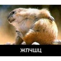Картинки с юмором