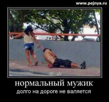 Прикольные и смешные картинки