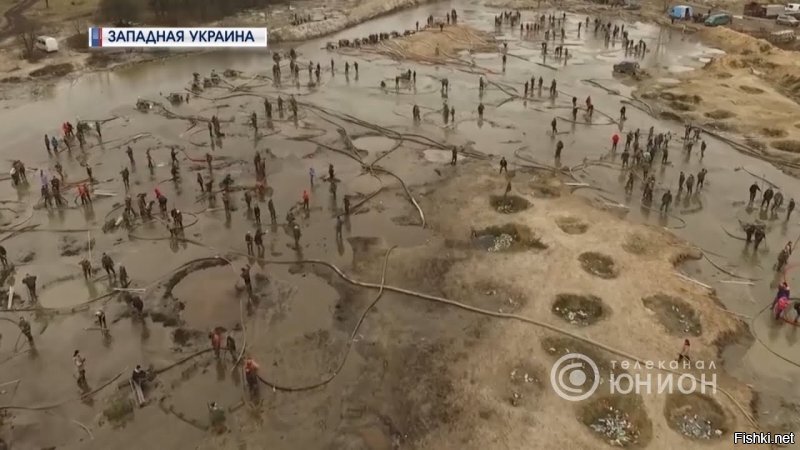 Добыча янтаря на западной украине. Остановить пытались даже с помощью армии. Бесполезно