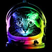 Бог тоже был котом
