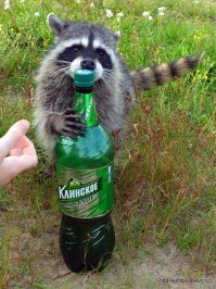 Ну кто как)))