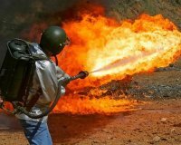 Жириновский предложил оптимизировать поголовье чиновников и депутатов