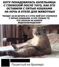Вот что там за видеонаблюдение