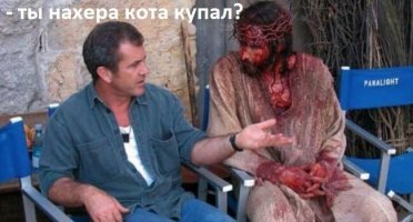 Прикольные и смешные картинки