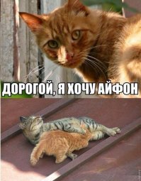 Прикольные и смешные картинки