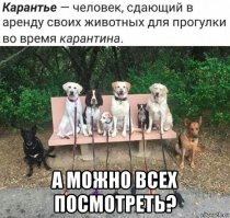 Прикольные и смешные картинки