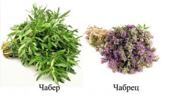 Кондари это Чабер. Чабер и чабрец совершенно разные растения, не надо их путать!