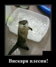 Прикольные и смешные картинки