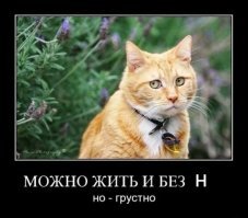 Такой же, но, когда "н" отрезали.