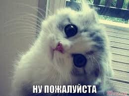 желательно со статьями АК.