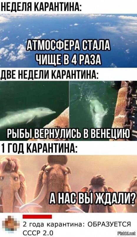 Политические комментарии из инета