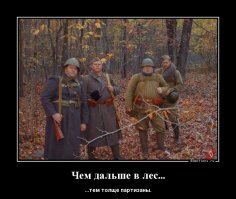 Прикольные и смешные картинки