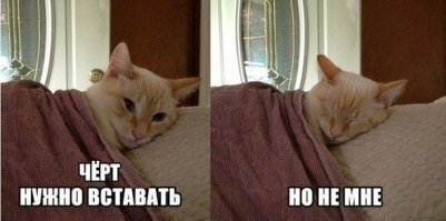 Прикольные и смешные картинки
