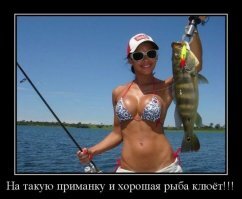 Прикольные и смешные картинки