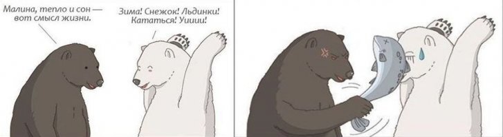 Прикольные и смешные картинки