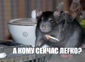 Прикольные и смешные картинки