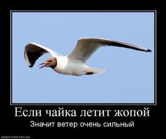 Когда на улице немного ветрено