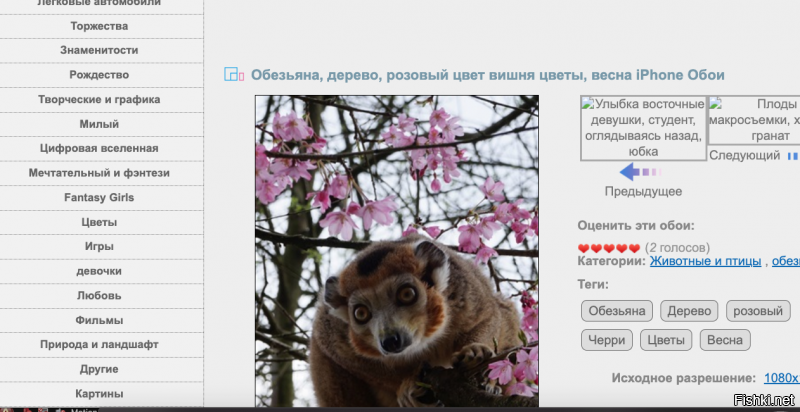 шутница ваша приятельница.