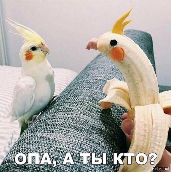 Бананугай? Попунан?