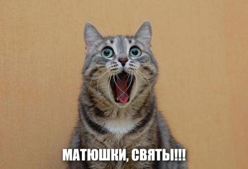 Мир после COVID-19: природа быстро отвоёвывает своё