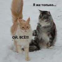 Намешалось