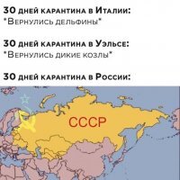 Мир после COVID-19: природа быстро отвоёвывает своё