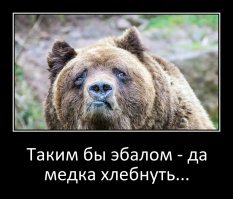 Фотоподборка