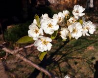 А у нас во дворе