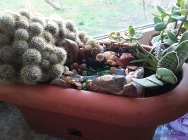 Может тут и применили фантазию, но что то почти всё такая ерунда... Что из этого можно поставить дома или применить для пользы, красоты? Кроме нескольких поделок даже в гараж стыдно поставить. Ну пожалуй машинки и паравоз из банок интересный вариант для пацанов. Кактус из колючей проволоки и такса из тёрки тоже юморно и как артобъект пойдёт. А вот камешки ни в коем случае в аквариум нельзя, хотя на дачке и даже в цветочный горшок можно. Я вот такие инсталляции в цветах у себя сделала пока дома сижу.