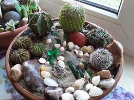 Может тут и применили фантазию, но что то почти всё такая ерунда... Что из этого можно поставить дома или применить для пользы, красоты? Кроме нескольких поделок даже в гараж стыдно поставить. Ну пожалуй машинки и паравоз из банок интересный вариант для пацанов. Кактус из колючей проволоки и такса из тёрки тоже юморно и как артобъект пойдёт. А вот камешки ни в коем случае в аквариум нельзя, хотя на дачке и даже в цветочный горшок можно. Я вот такие инсталляции в цветах у себя сделала пока дома сижу.