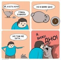 Прикольные и смешные картинки