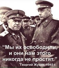 В Чехии обосновали отказ передать России памятник маршалу Коневу 
