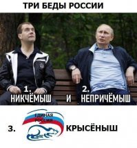 Прикольные и смешные картинки