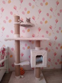 Мастер, я только на такое оказался способен из подручных материалов, но котейка вроде доволен