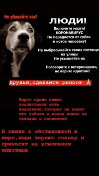 Мимимиметр взорвался! Котята и щенки гуляют по гигантскому аквариуму!