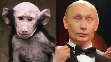Когда ты сильный, но не очень умный