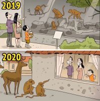 Животные Московского и других зоопарков остро переживают отсутствие посетителей на карантине