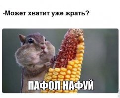 Прикольные и смешные картинки
