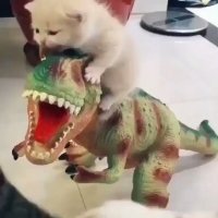 Сотни игуан окружили смотрителя фермы