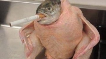 Художник рисует самые дурацкие гибриды животных, какие только может придумать