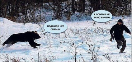 Прикольные и смешные картинки