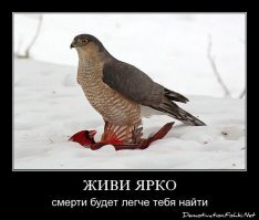 Вереница «скорых» из 60-ти машин вновь выстроилась возле центра ФМБА в Химках 
