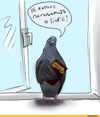 Прикольные и смешные картинки