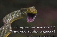 Прикольные и смешные картинки