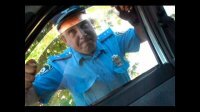 Прикольные и смешные картинки