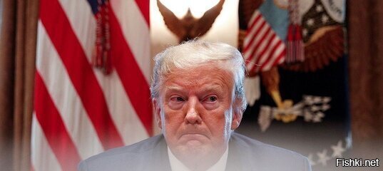 трампенко - не мочи ща, никто не послушает, все про вирус ток и трещат...подожди, жги, когда только это и будут слушать.