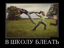 Про пользу карантина