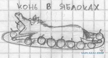 Какие бывают масти у лошадей?